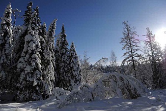 Кроноцкий заповедник приглашает любителей снегоходных и лыжных прогулок!. Фото 12