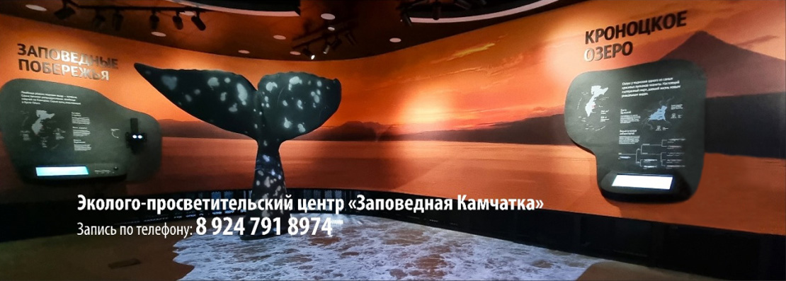 Эколого-просветительский центр "Заповедная Камчатка"