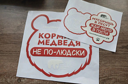 О правилах добрососедства с бурыми медведями на Камчатке напомнят стикеры