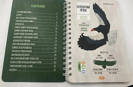 Напечатаны определитель следов и игра, подготовленные юннатами Кроноцкого заповедника